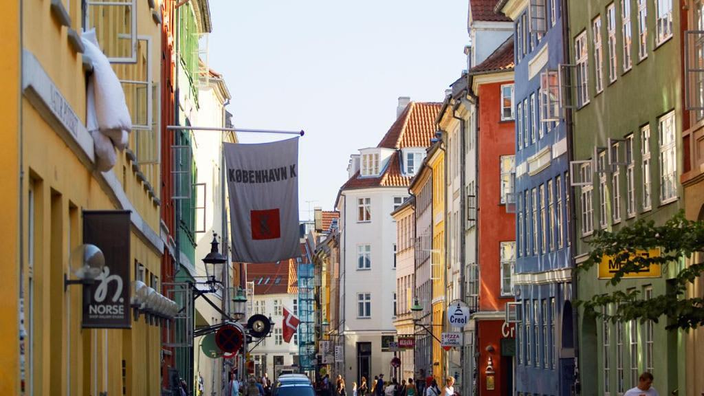 Luxury Flat - Walk To Nyhavn Tivoli & Metro Appartement Copenhague