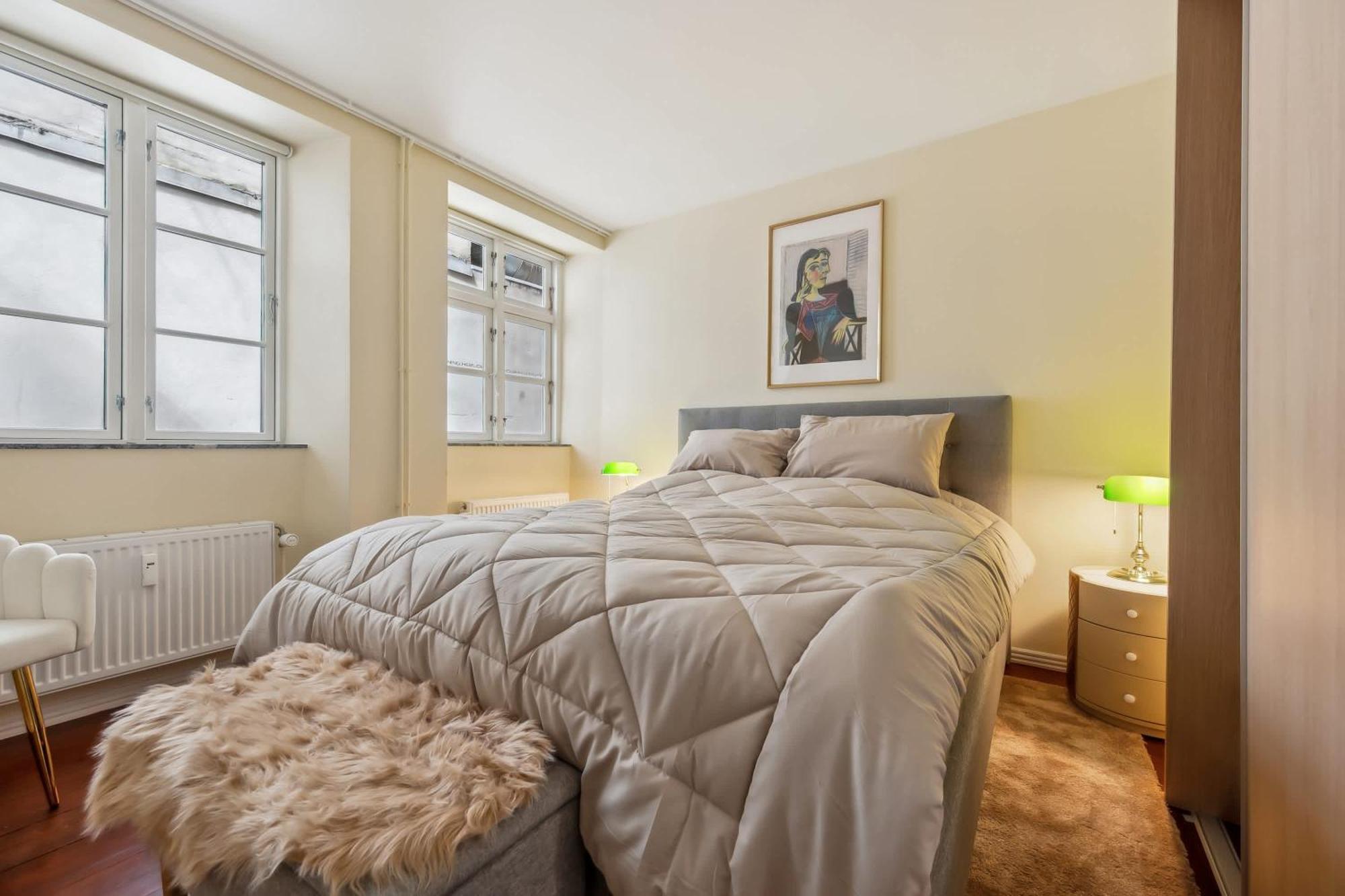 Luxury Flat - Walk To Nyhavn Tivoli & Metro